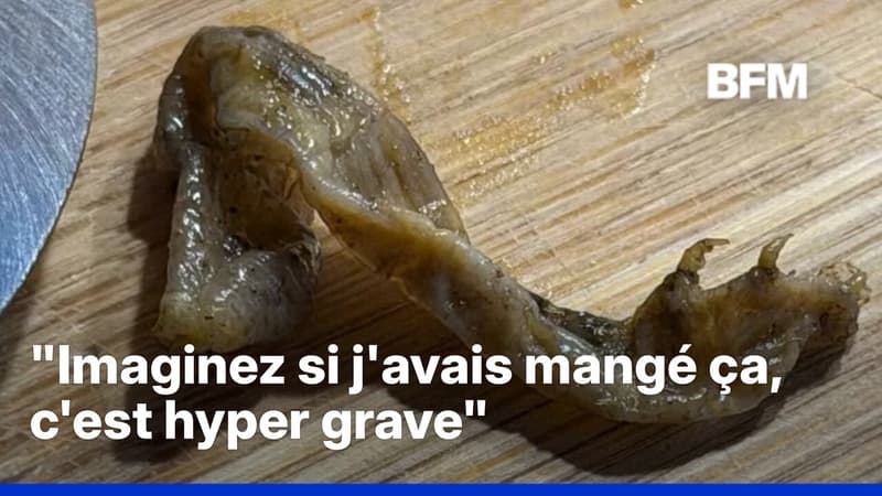 Elle trouve une patte d'animal dans une boîte de petits pois, Lidl mène l'enquête