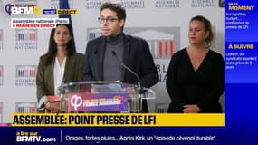 Doliprane: "aucune garantie sur le maintien de l'emploi", dénonce Hadrien Clouet(LFI)