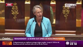 Remaniement : le Borne out après 20 mois éprouvants