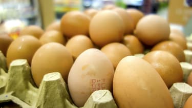 La quantité d'oeufs contaminés en Allemagne près de trois fois plus élevée que prévu
