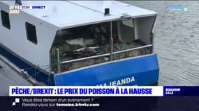 Crise de la pêche: les pêcheurs forcés d'augmenter le prix du poisson 