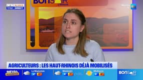 Mobilisation des agriculteurs: de premiers rassemblements débutent dans le Haut-Rhin dès ce jeudi 14 novembre