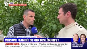 Est-ce que les prix des fruits et légumes vont augmenter ? BFMTV répond à vos questions