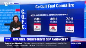 Éducation, santé, transports: le calendrier des grèves contre la réforme des retraites se précise