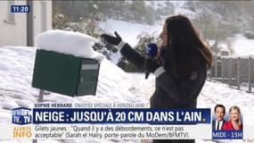 La neige a fait son retour dans l'Ain avec près de 20 cm au sol ce matin