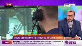 Le marché du jeu vidéo en crise : "C'est la conséquence des énormes investissements durant le Covid" selon Vanessa Kaplan, déléguée générale du syndicat national du jeu vidéo 