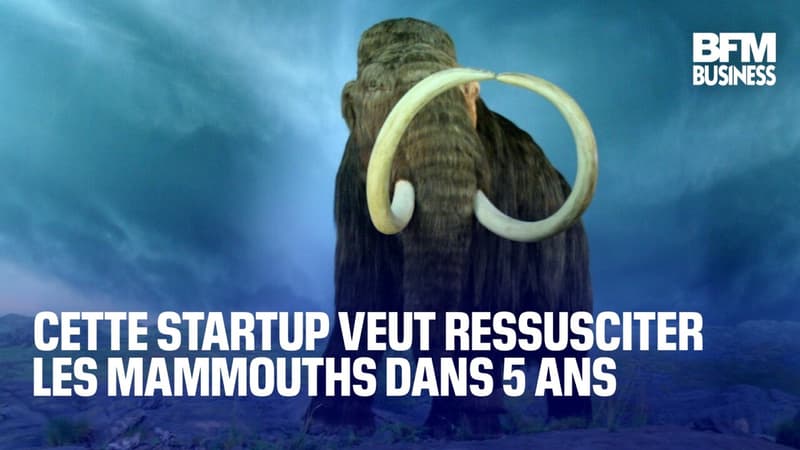 Cette startup veut ressusciter les mammouths dans 5 ans £