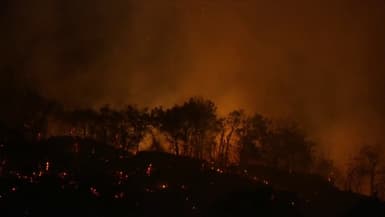 L'incendie dans le massif de la Chartreuse, en Isère, dans la nuit de dimanche 7 à lundi 8 août.