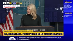 Mort d’Alex Pretti à Minneapolis: Donald Trump "ne veut pas voir des gens blessés ou tués dans les rues en Amérique", assure la Maison Blanche