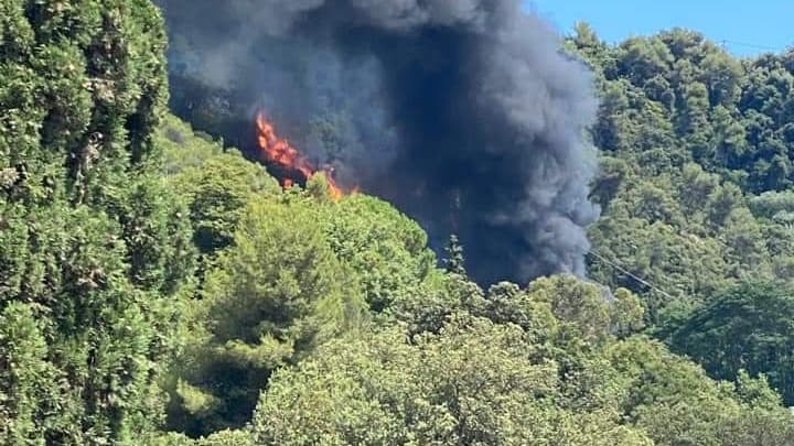 a warehouse and several hectares of forest gone up in smoke