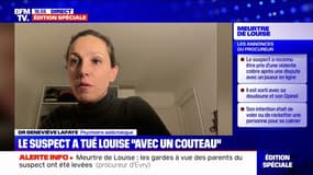 Meurtre de Louise: "Les jeux vidéo peuvent être des symptômes de difficultés quelconques", explique Geneviève Lafaye, psychiatre addictologue