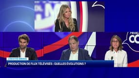 (Hebdocom) TF1: coupure des chaînes du groupe sur canal +, échec de la fusion, nouveau DG : quels enjeux pour la prod TV?