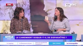 Le camembert risque-t-il de disparaître ? 