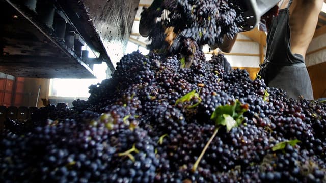 Le syndicat des vins Nature'l a établi sa charte avec les services du ministère de l’Agriculture, de l’Institut National de l’Origine et de la Qualité (INAO) et de la Répression des Fraudes.