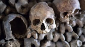 Des crânes dans les catacombes de Paris le 4 avril 2024. (Photo d'illustration)