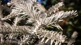 Une branche de sapin de Noël décorée. 