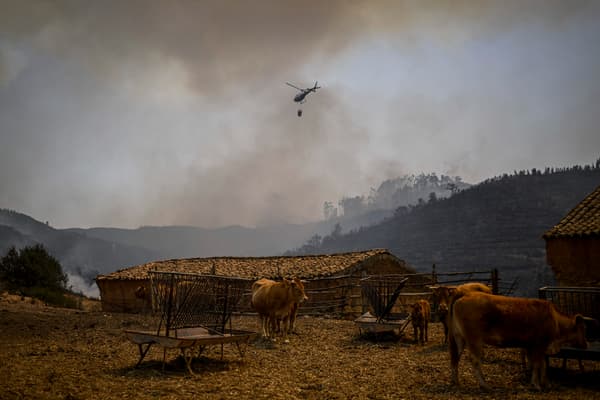 Un hélicoptère combat un feu de forêt à Reguengo, dans le district de Portalegre, au sud du Portugal, le 8 août 2023.