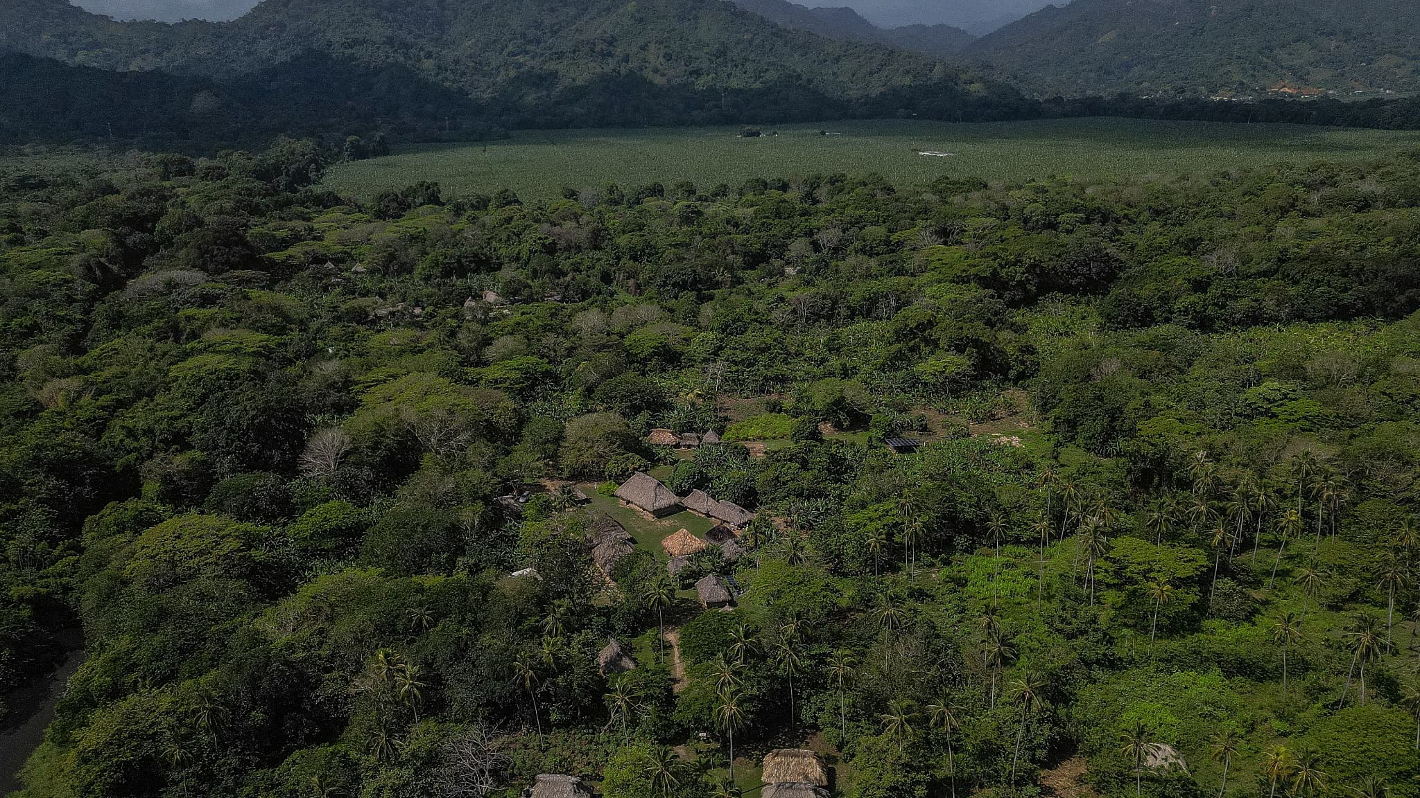 Photo: bfmtv.com Kidnapped Indigenous Leader Julio Rodriguez Found Dead in Venezuela's Mining Region