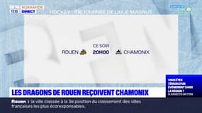 Ligue Magnus: les Dragons de Rouen reçoivent Chamonix