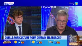 Les élections à la chambre d'agriculture
