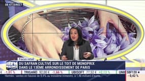 Focus Retail: Du safran cultivé sur le toit de monoprix dans le 13ème arrondissement - 07/11