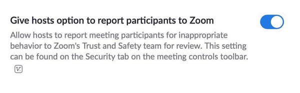 L'outil de signalement sur Zoom. L'outil de signalement sur Zoom.