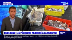 Boulogne-sur-Mer: les pêcheurs mobilisés ce lundi