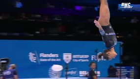 Gymnastique : Historique, les Bleues médaillées de bronze aux Mondiaux