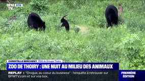 Zoo de Thoiry: une nuit au milieu des animaux - 17/05