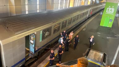 Un accident de personne en gare de Saint-Raphaël perturbe la circulation des trains le 8 juin.