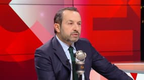 Le vice-président du RN, Sébastien Chenu, sur BFMTV-RMC le 14 novembre 2024 