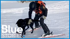 Mohée Roque et son labrador Eko