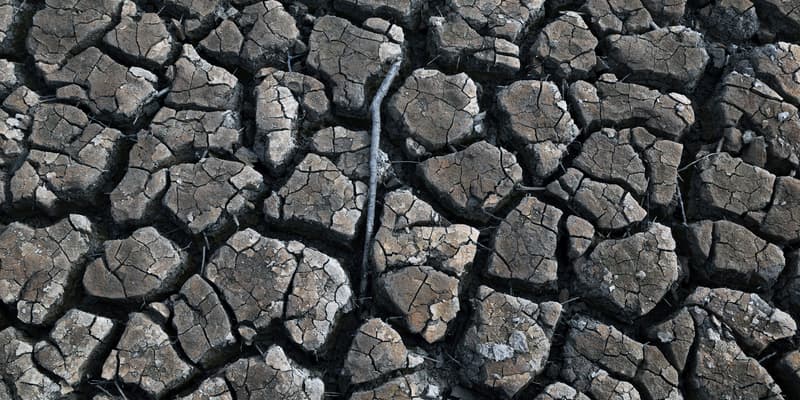 Le sol craquelé en raison de la sécheresse près du réservoir d'eau Sau, à Gérone, en Espagne, le 16 janvier 2024