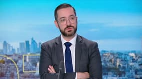 Usine Stellantis de Poissy à l'arrêt: "On pourrait baisser les dividendes aux actionnaires", propose David Guiraud (LFI) 