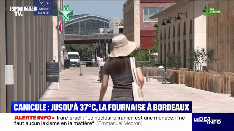 Jusqu'à 37°C à Bordeaux... Les habitants suffoquent sous la chaleur écrasante