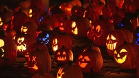 Des citrouilles sculptées pour la fête d'Halloween le 22 octobre 2014 en Californie