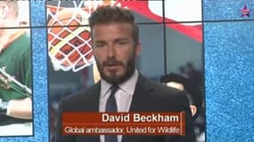 David Beckham s'engage avec le Prince William
