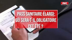 Pass sanitaire : restaurants, longs trajets, lieux de loisirs... où faudra-t-il l’avoir cet été ?