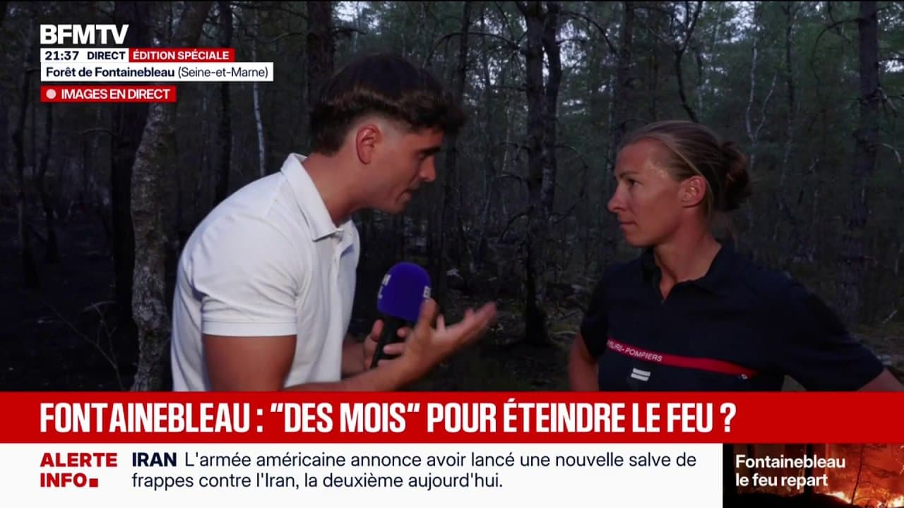 Fontainebleau: "On est là pour veiller à éteindre tous les points chauds, un par un", explique Alexandra Duverne, cheffe de secteur et sapeur-pompier de Haute-Savoie