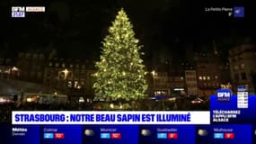 Marché de Noël de Strasbourg: le sapin est illuminé 