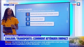 Ile-de-France: comment atténuer l'impact des fortes chaleurs sur le réseau de transports? 