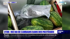 Lyon : 403kg de cannabis dans des pastèques