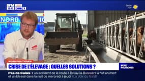 Filières agricoles en danger: le président des Jeunes agriculteurs du Nord-Pas-de-Calais regrette que les "solutions n'arrivent pas tout de suite"