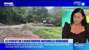 Intempéries dans les Alpes-Maritimes: des communes demandent le statut de catastrophe naturelle