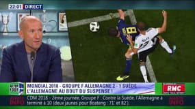 Après cet Allemagne-Suède complètement fou, David Lortho est dans "un état indescriptible" ! 