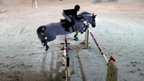 Un cavalier en plein concours hippique - Photo d'illustration