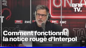 De Mohamed Amra aux cryptomonnaies: comment fonctionne la notice rouge d’Interpol
