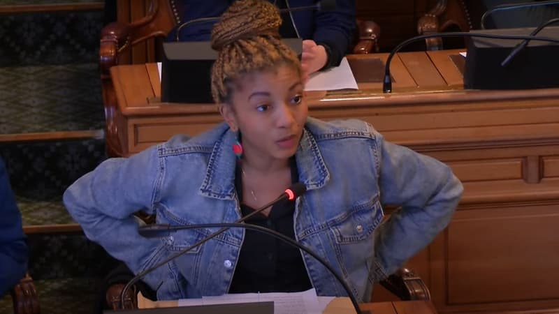 La cheffe de file des écologistes au Conseil de Paris a été émue aux larmes lors de sa prise de parole en réaction au tweet raciste dont elle est la cible.