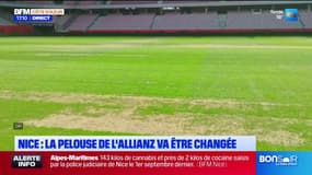 Nice: la pelouse de l'Allianz Riviera va finalement être changée