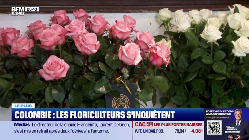 Colombie : les floriculteurs s'inquiètent